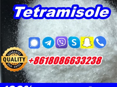 buy tetramisole hcl powder图3