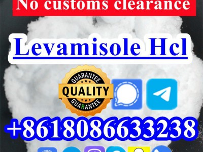 buy levamisole powder