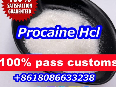 buy procaine powder 51-05-8图2