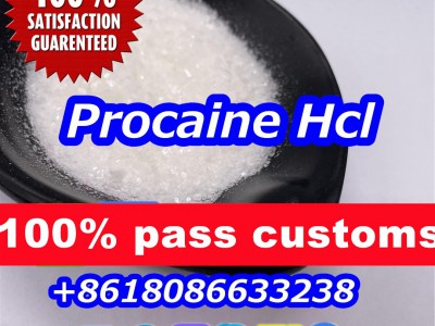 buy procaine powder 51-05-8