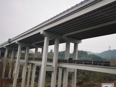 贵州贵阳刷涂除锈剂销售-冠牌图2