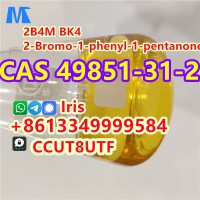 CAS 49851-31-2 2b4m liquid