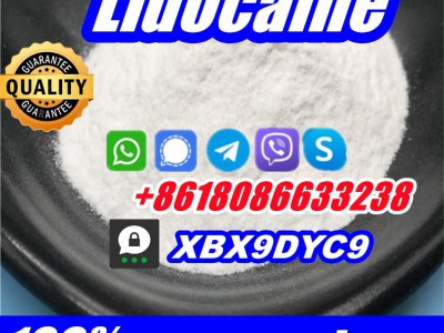 buy lidocaine hcl base powder图4