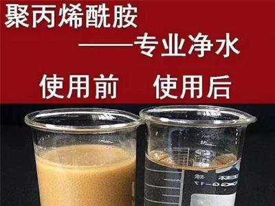 阴离子聚丙烯酰胺的主要用途 轩豪净水  型号齐全图3