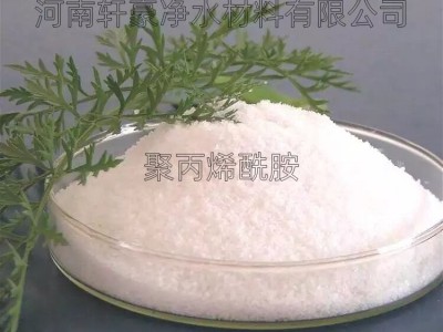阴离子聚丙烯酰胺在污水处理中的作用  轩豪净水  效果显著