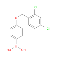 4-(2,4-二氯苯基甲氧基)苯硼酸