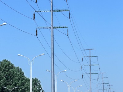 河北110kv电力钢管杆 电力钢杆 电力钢桩基础 地脚螺栓