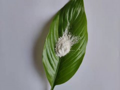 高纯超细纳米氢氧化钛 CY-P103