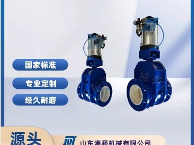 气动耐磨陶瓷双闸板阀 定制气力输灰仓泵进出料阀图2