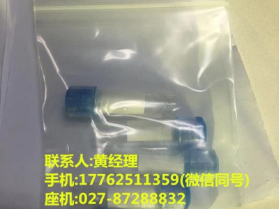 荧光素酶50%浓度专用于科研实验可分装