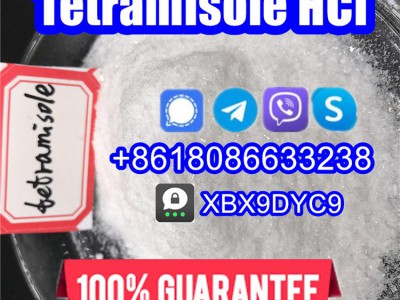 Tetramisole powder图2