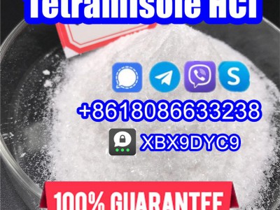 Tetramisole powder图3