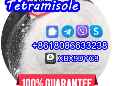 Tetramisole 5086-74-8图3