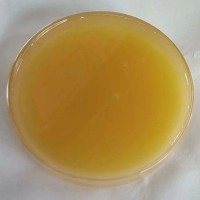 苏州鼠李糖脂厂家，工业级生物表面活性剂批发