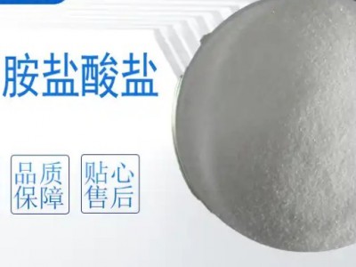 一甲胺盐酸盐99%