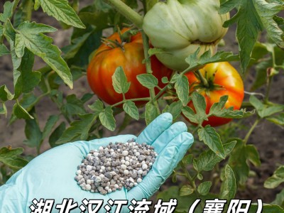 2025襄阳植保会9月5日盛大开幕啦图1