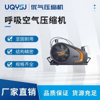 BAUER德国宝华呼吸空气压缩机 PE-TB空气呼吸器充气泵