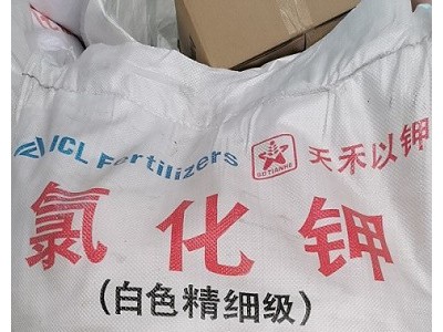 深圳东莞惠州供应以色列氯化钾 养殖化肥98农业氯化钾批发