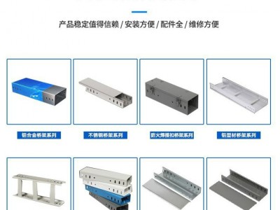 支持比价 室内外可用 防火塑/喷塑 槽式桥架图2
