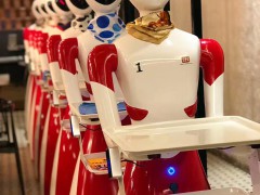 2025中国深圳国际具身智能与人形机器人展览会