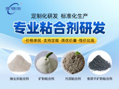 硅粉粘合剂的未来前景
